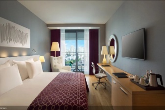 Oda Görseli: Deluxe Room City View / Yarım Pansiyon