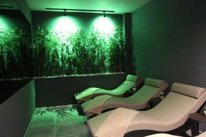 Spa & Wellness