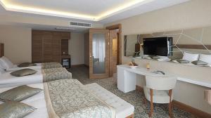 Oda Görseli: Deluxe Suite / Alkolsüz Yarım Pansiyon